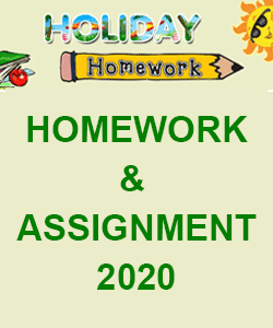 Holiday Homework Of Presentation Convent School electrica times clas